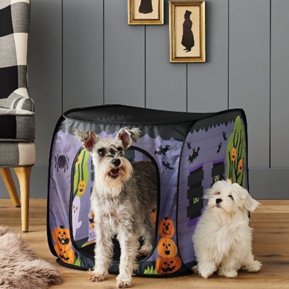 NWT Halloween Nylon Pop Up Dog/ Cat Crate - Hyde &
EEK! Boutique™